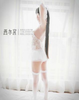 舞男的生活_DVDHD在线观看